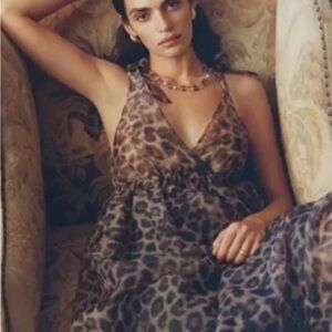 Anthropologie Leopard Print Dress